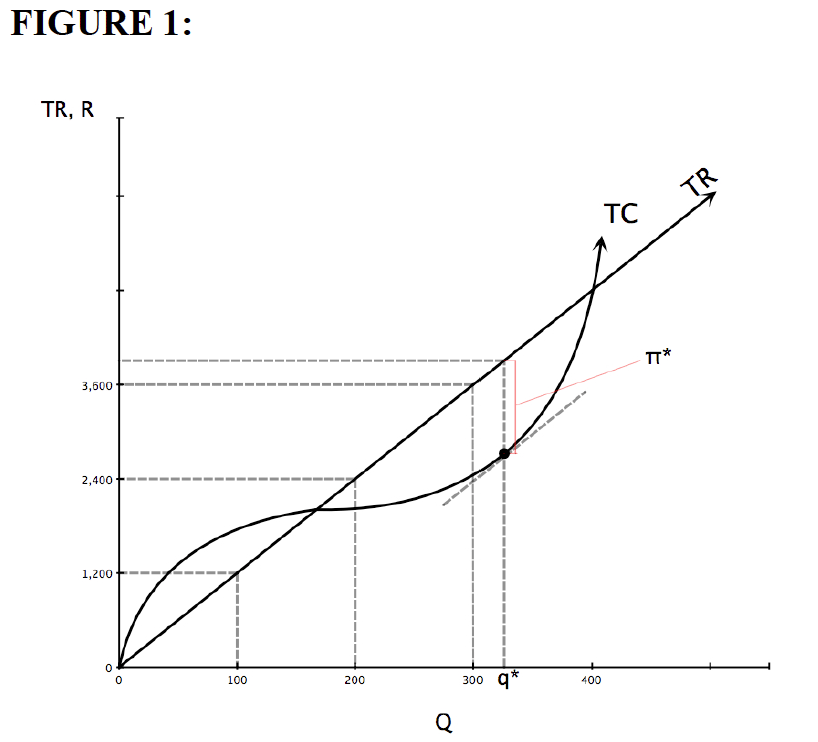 theory_of_the_firm_fig1
