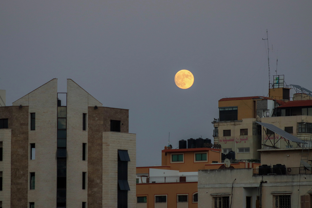 Hamas and the Future of Gaza