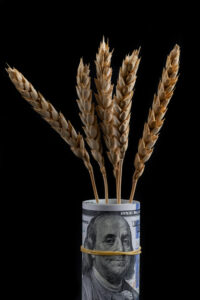 Grain Tax 200x300.jpg